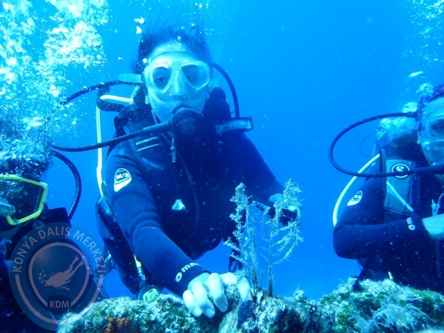 24-25 Eylül Bodrum