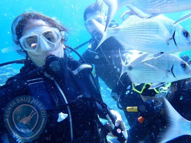 24-25 Eylül Bodrum