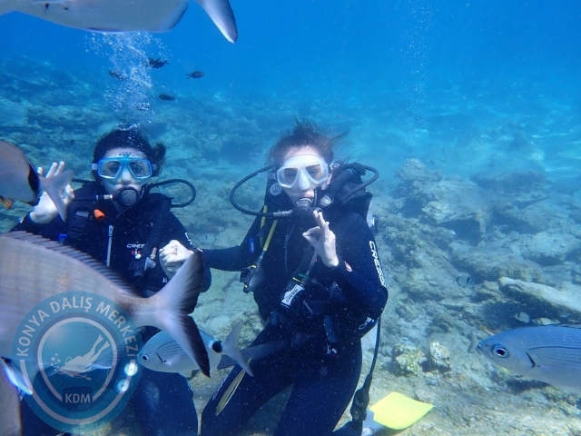 24-25 Eylül Bodrum