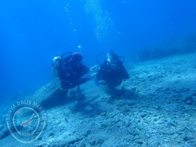 24-25 Eylül Bodrum