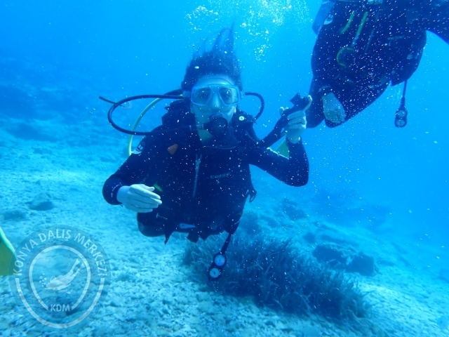 24-25 Eylül Bodrum