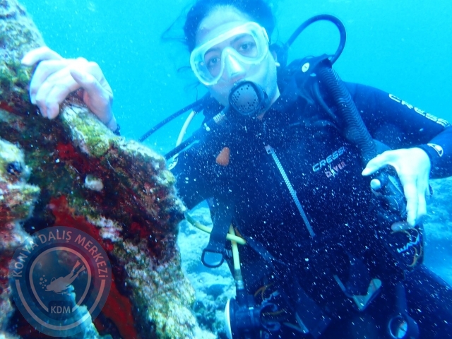 24-25 Eylül Bodrum