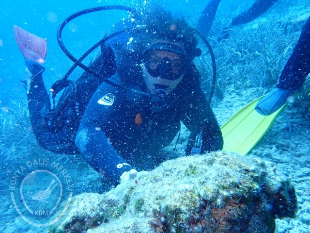 24-25 Eylül Bodrum