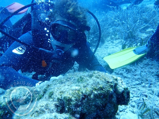 24-25 Eylül Bodrum