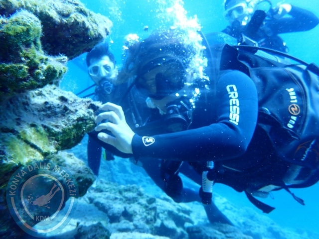 24-25 Eylül Bodrum