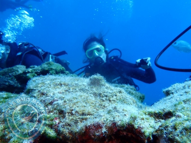 24-25 Eylül Bodrum