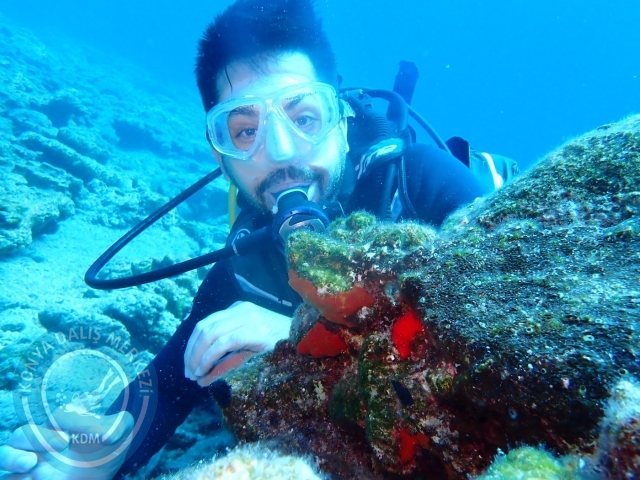 24-25 Eylül Bodrum