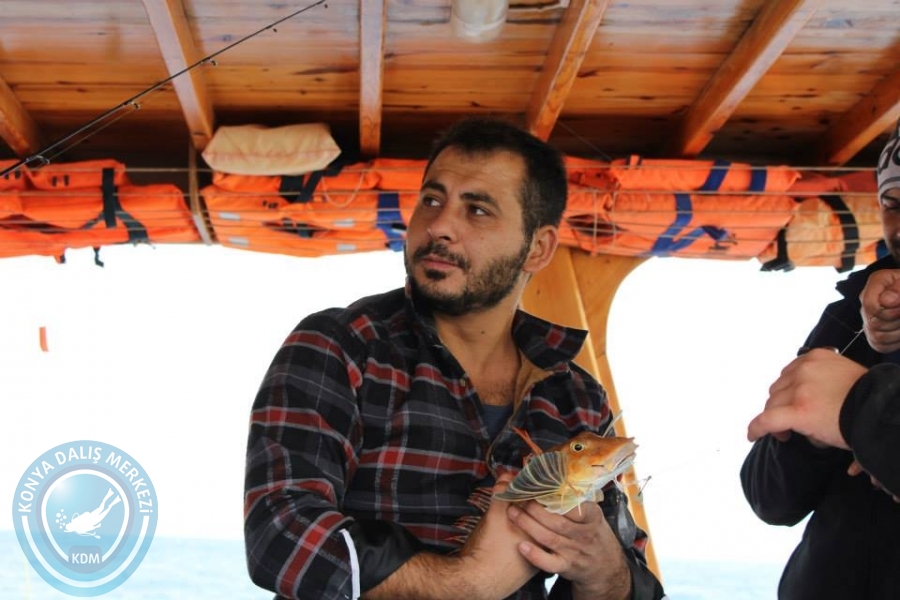 24 Kasım 2014 boğsak balık avı
