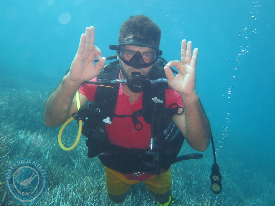 25-26-27 Ağustos Anamur