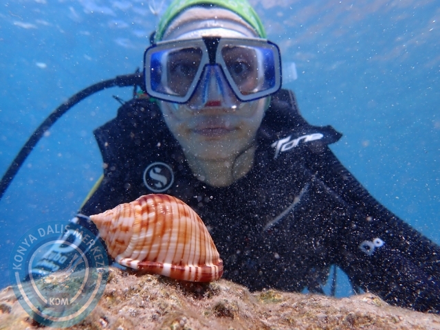 25-26 Eylül Fethiye