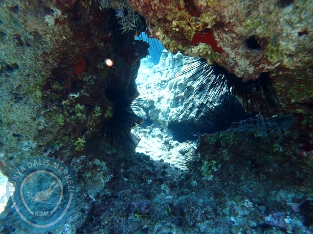 25-26 Eylül Fethiye