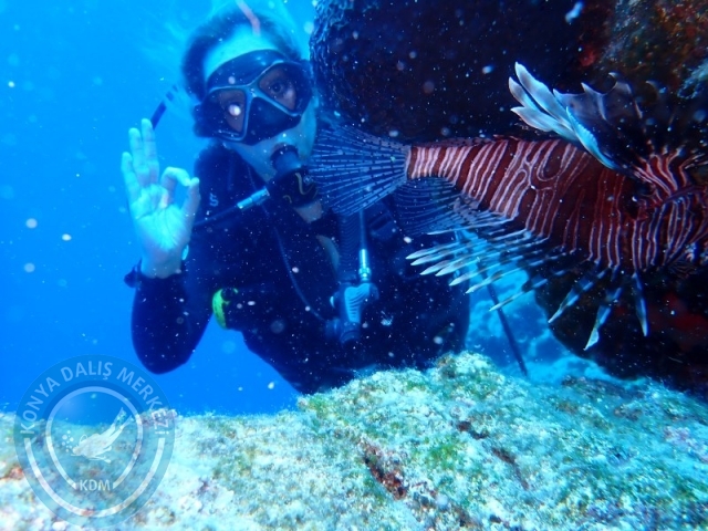 26 - 27 Temmuz Bodrum
