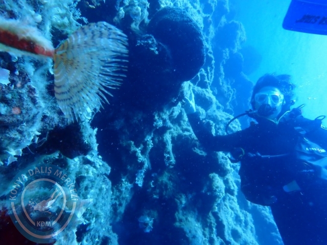 26 - 27 Temmuz Bodrum