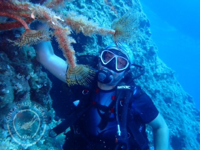 26 - 27 Temmuz Bodrum