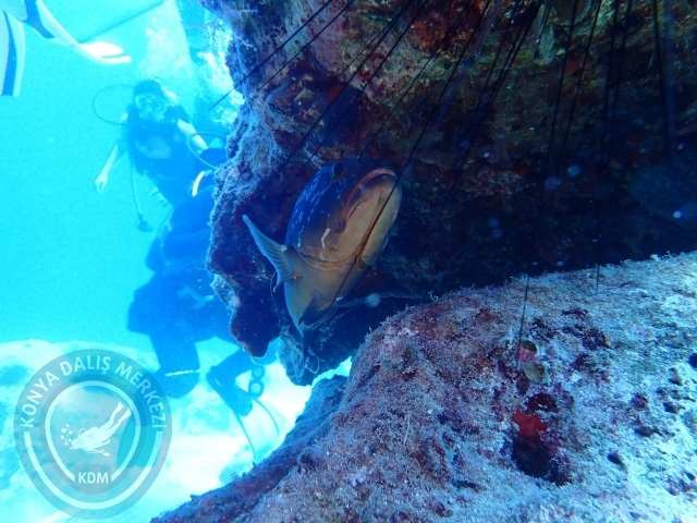 27-28 Ağustos Kaş