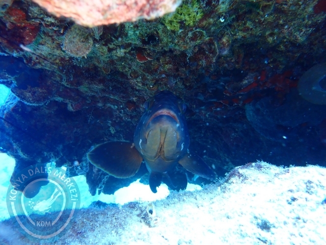 27-28 Ağustos Kaş
