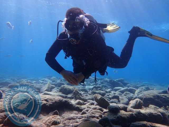 27-28 Eylül Bodrum