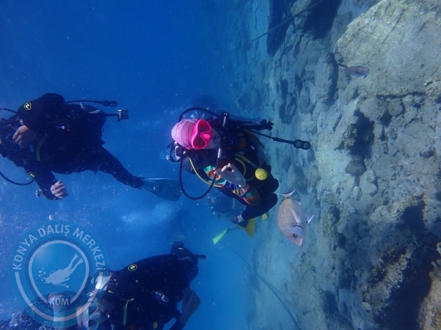 27-28 Eylül Bodrum