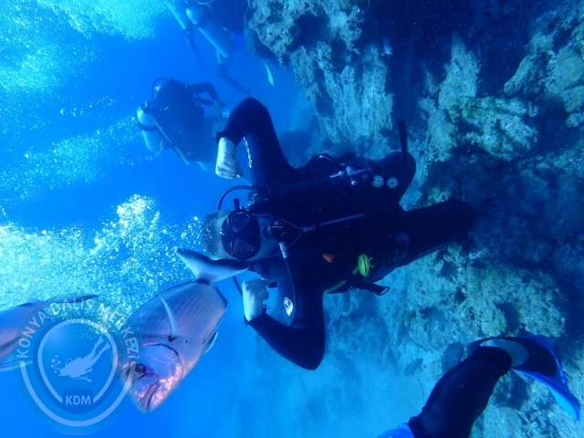 27-28 Eylül Bodrum