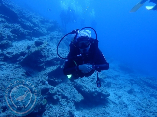 27-28 Eylül Bodrum