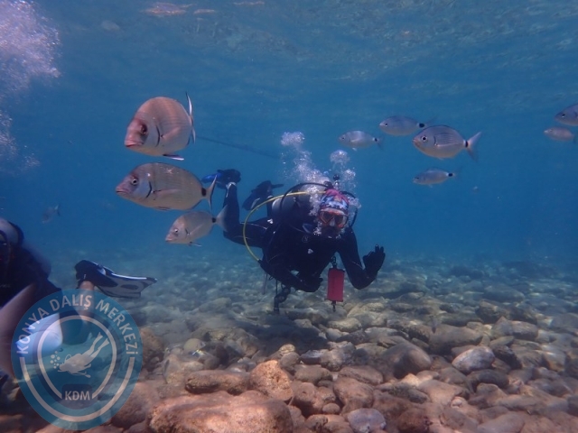 27-28 Eylül Bodrum