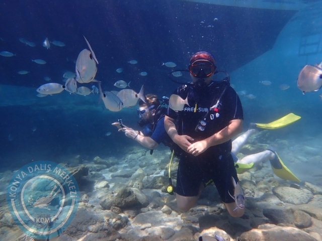 27-28 Eylül Bodrum