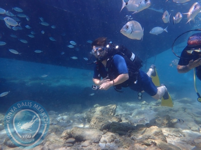 27-28 Eylül Bodrum