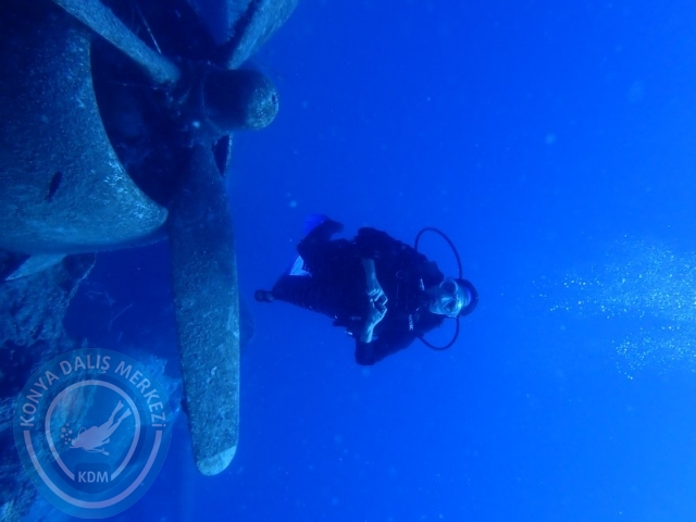 27-28 Eylül Bodrum