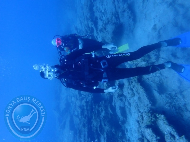 27-28 Eylül Bodrum