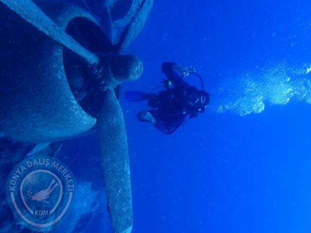 27-28 Eylül Bodrum