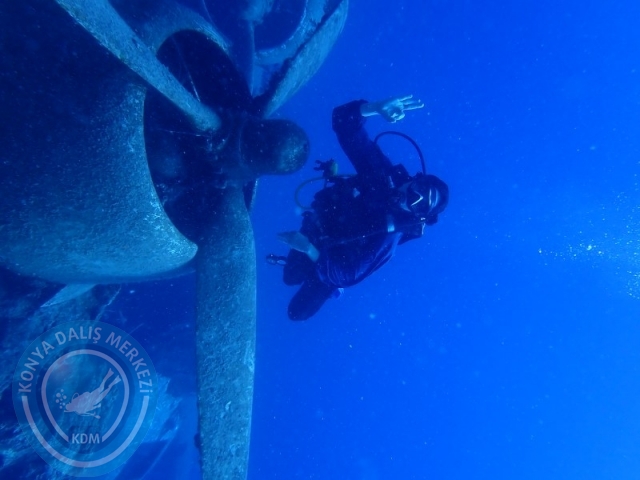 27-28 Eylül Bodrum