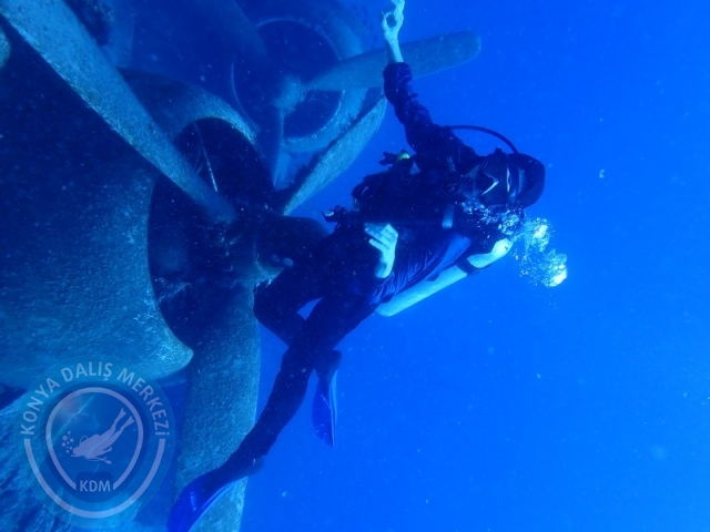 27-28 Eylül Bodrum