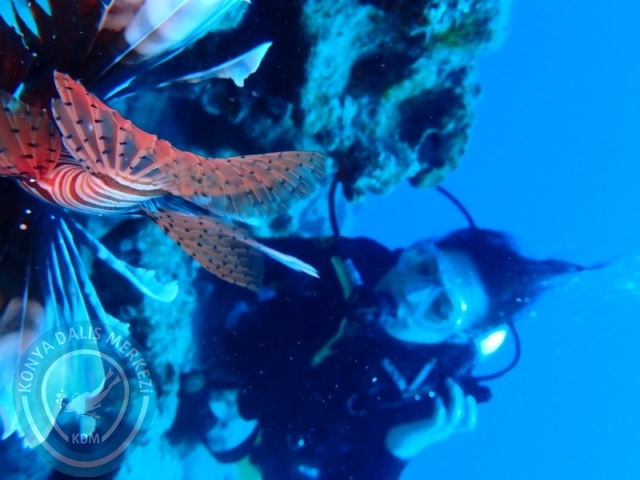 27-28 Eylül Bodrum