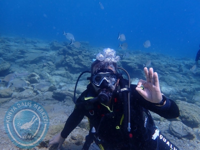 27-28 Eylül Bodrum