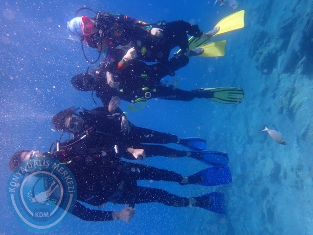 27-28 Eylül Bodrum
