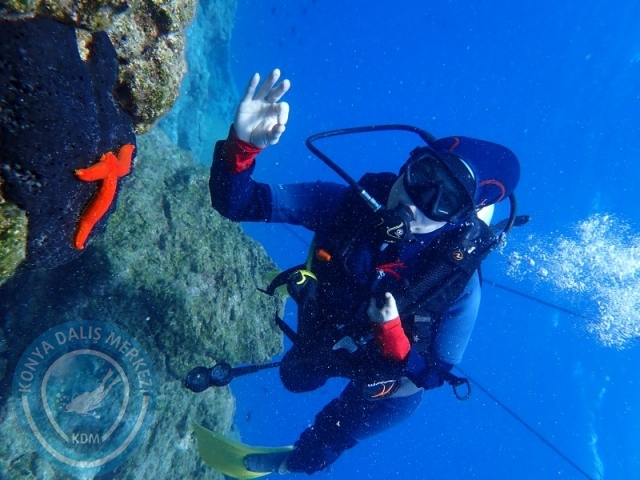 27-28 Eylül Bodrum
