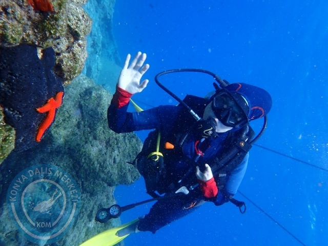 27-28 Eylül Bodrum