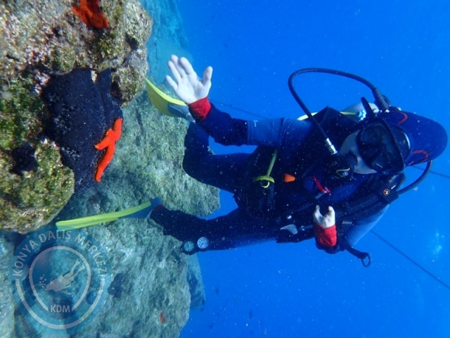 27-28 Eylül Bodrum