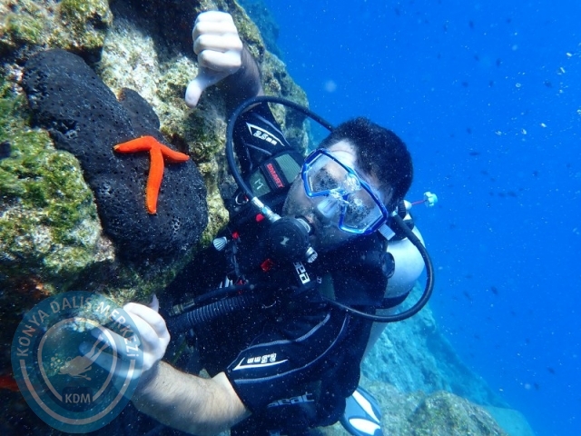 27-28 Eylül Bodrum