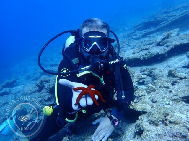 27-28 Eylül Bodrum