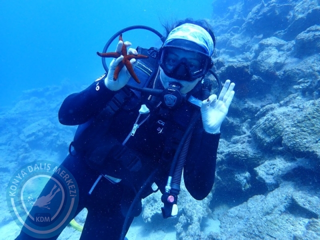 27-28 Eylül Bodrum