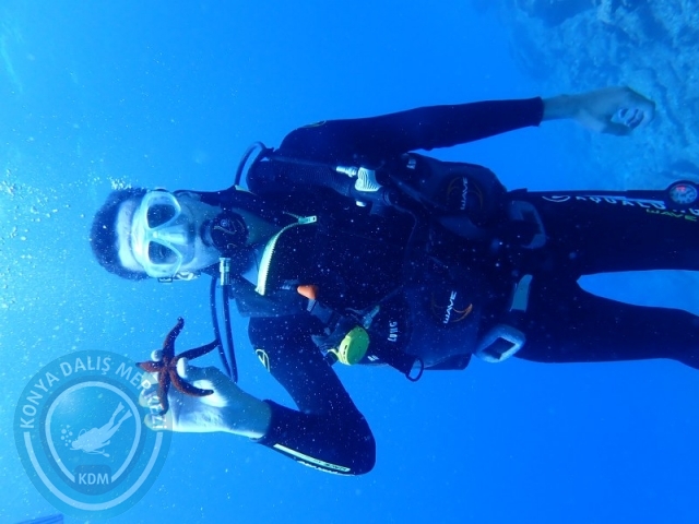 27-28 Eylül Bodrum