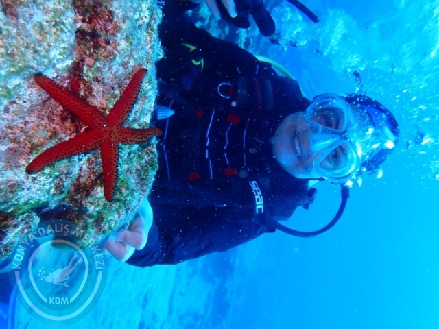 27-28 Eylül Bodrum