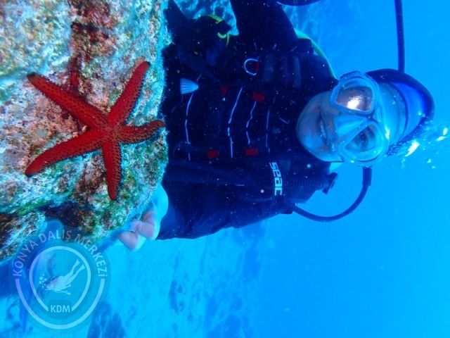 27-28 Eylül Bodrum