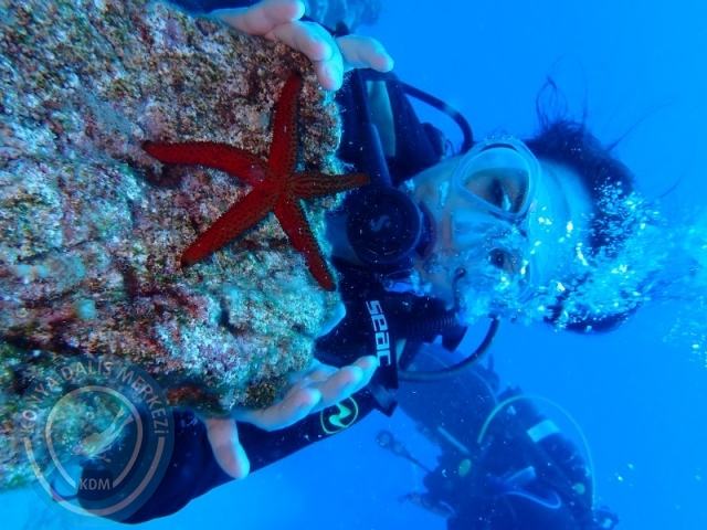 27-28 Eylül Bodrum