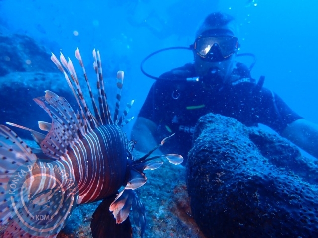 27-28 Eylül Bodrum