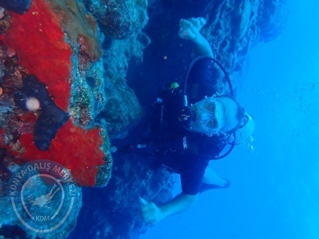 27-28 Eylül Bodrum