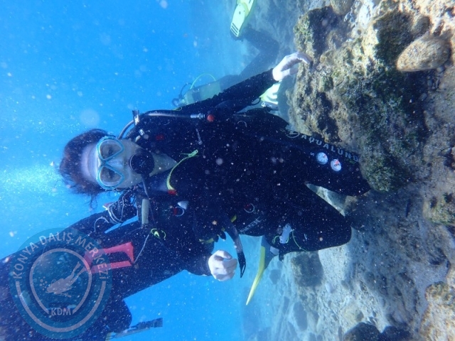 27-28 Eylül Bodrum