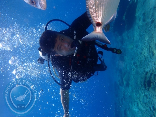 27-28 Eylül Bodrum