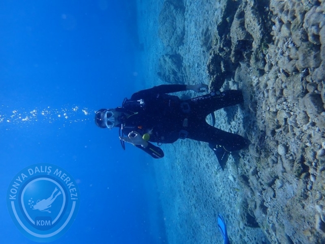 27-28 Eylül Bodrum